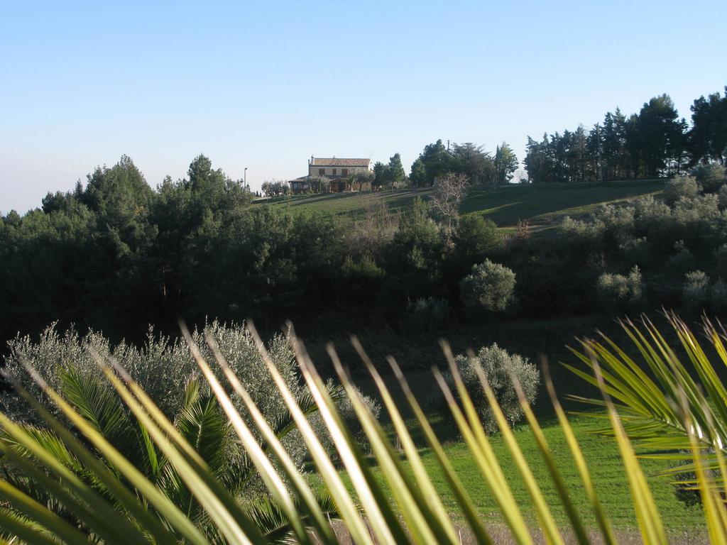 Briciola Di Sole Guest House Grottammare Exterior foto