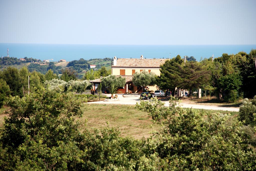 Briciola Di Sole Guest House Grottammare Exterior foto